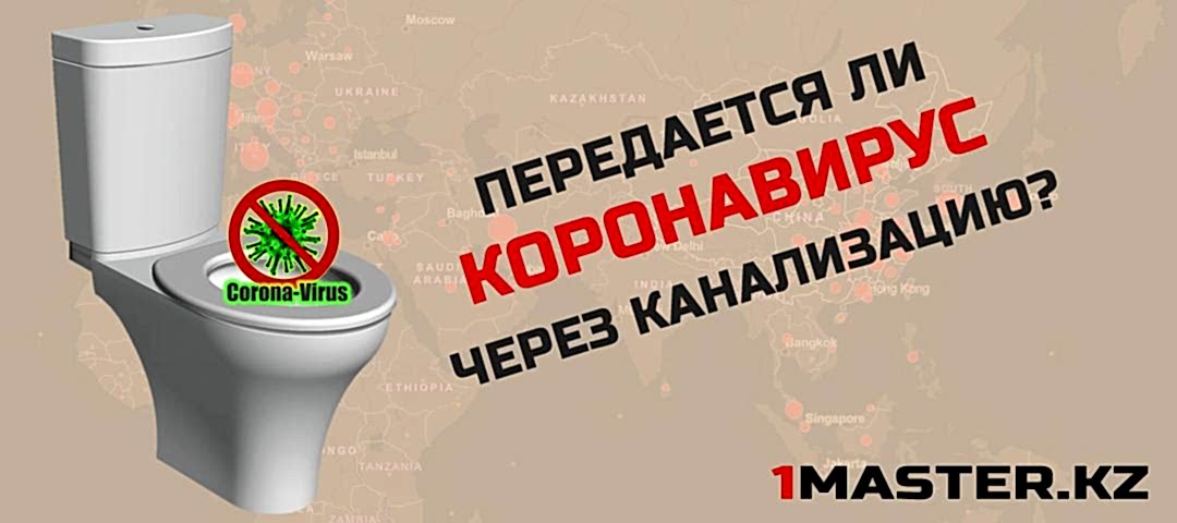 Коронавирус передается по канализации. Миф или реальность?